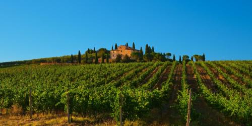 Agriturismo La Torre dell'Oliveto