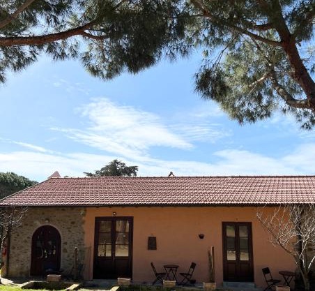 Agriturismo La Vergheria