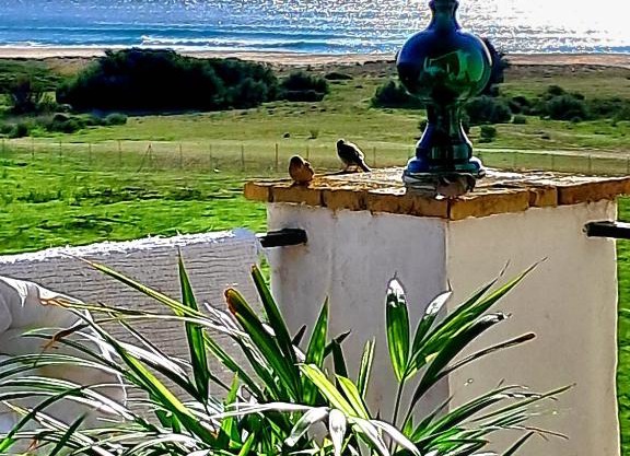 AIRUNNES Atico duplex Zahara primera linea