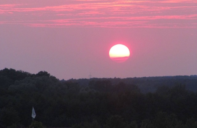 Albatros App. 02 EG/R - Albatros App. 02 (EG/R)