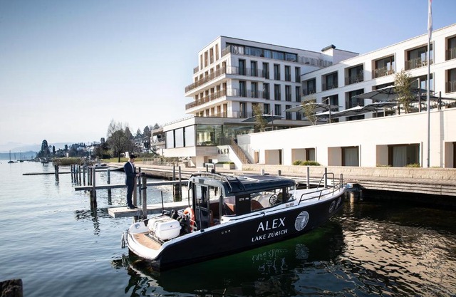 Alex Lake Zürich