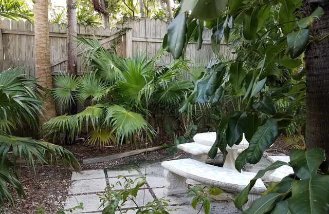 Alexander Palms Court