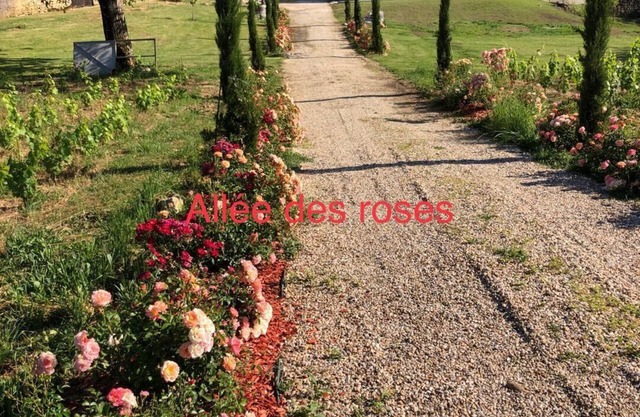 Allée des roses La Chapelle