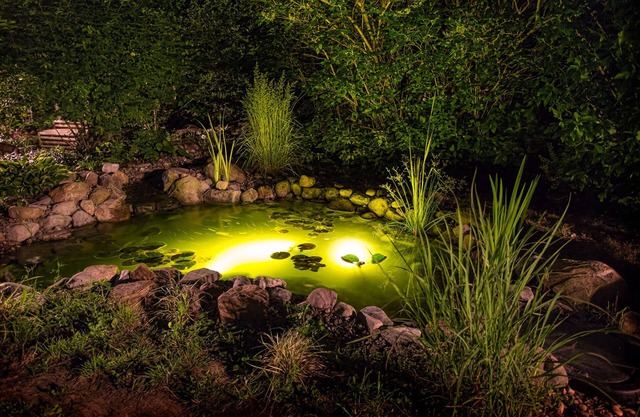 Allegiance Bed and Breakfast