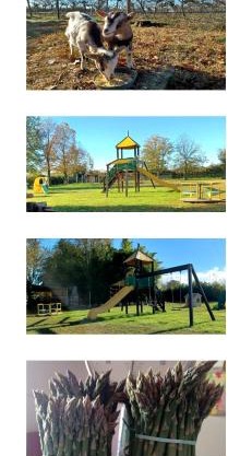 Alloggio agrituristico Zambon