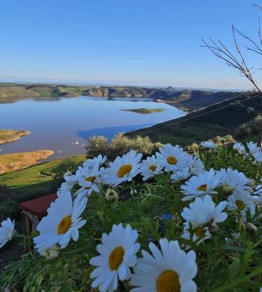 Alojamiento Rural Mi Frasca