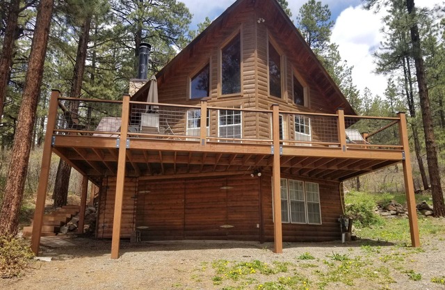 Altitude Adjustment cabin near Wolf Creek - pet friendly
