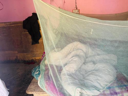 Amaranth Homestay
