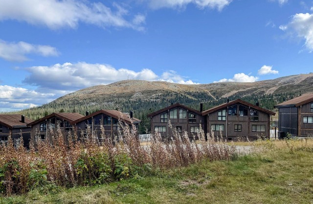 Amazing apartment in Trysil with sauna