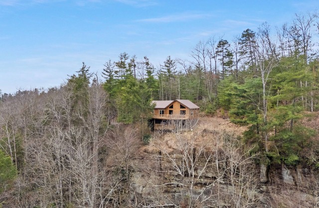 Amazing Grace Cabin at Red River Gorge! Million dollar views! Sleeps 12! Hot tub