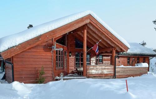 Amazing Home In Dalen With Wifi