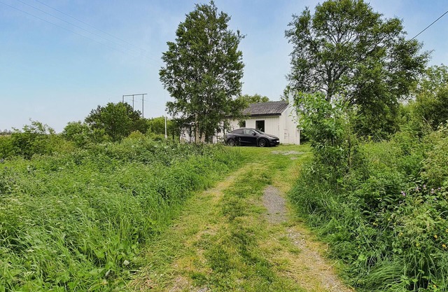 Amazing home in Rørvik with WiFi