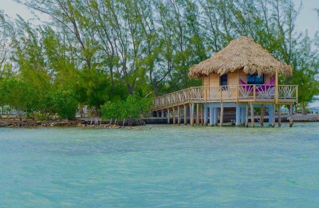Amazing Ocean Views Bungalow w/Private Patio, A/C, & Walk-In Shower