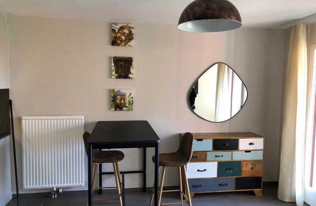 Amazing Studio In Lausanne Close To Epfl and Unil