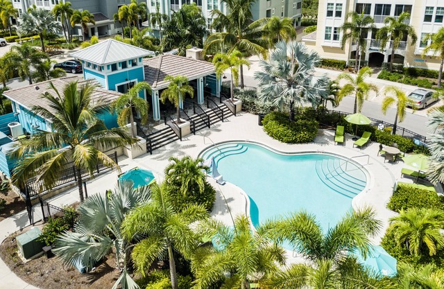 Amazing sunsets and pet friendly!