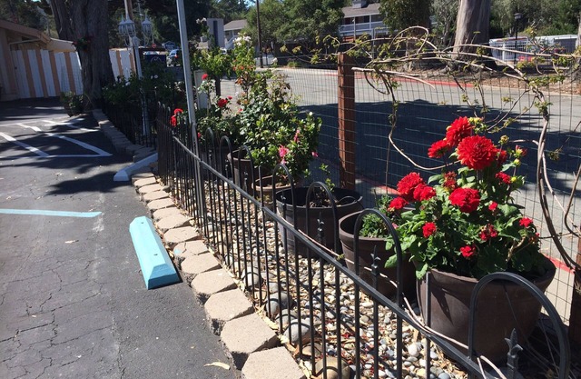 Americas Best Value Presidents Inn on Munras