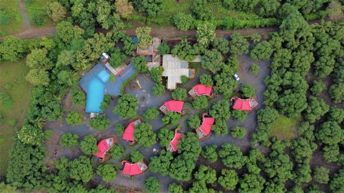 Amraness Luxury Resort Sasan Gir