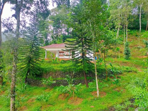 Anivilla Holiday Home Kunjithanny