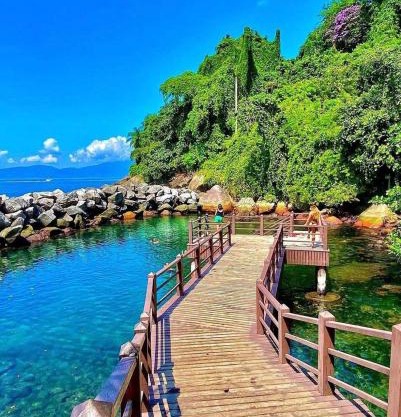 AP Clarissinha Porto Real