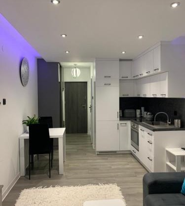 Apartament Bielskiego 44a