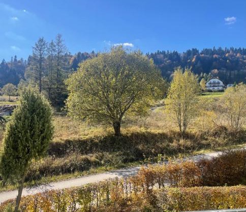 Apartament Ciśnianka