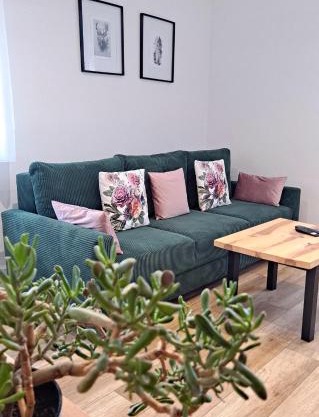 Apartament dzika róża