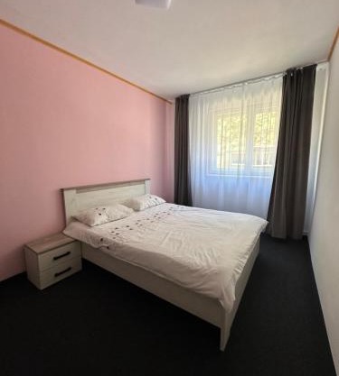 Apartament Pruneanu Central