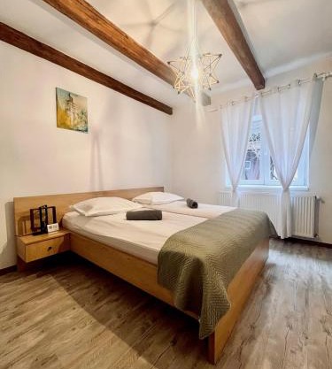 Apartament Turnul Olarilor