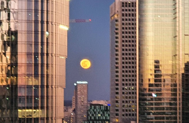 Apartament z widokiem na centrum miasta, basen i sauna jest w cenie,