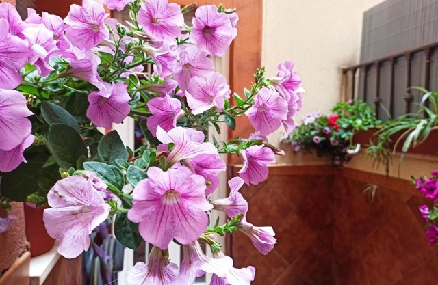 Apartamento La Reina