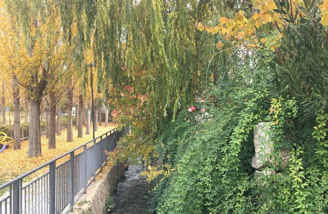 APARTAMENTOS RURALES LABRADOR, Family and friends reunions, Groups, Up to 45 people.