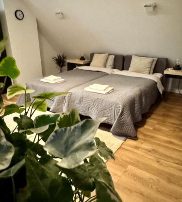 Apartamenty Astor - Księżycowy