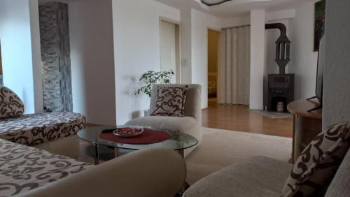 Apartman Saša