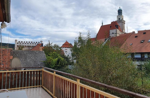 Apartmany U Lva