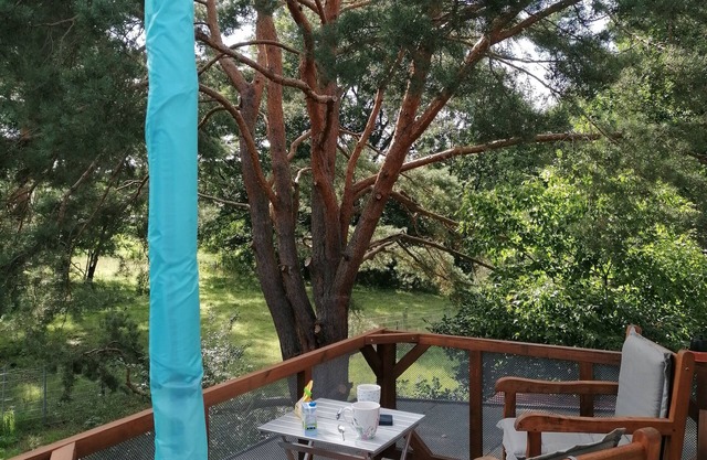 Apartment 37m² Kurparkgarten in the green Berlin