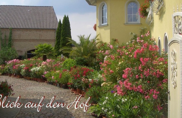 Apartment / app. for 10 guests with 100m² in Zossen (125385)