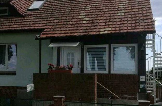 Apartment around Spreewald for 4 people - Apartment 4 people