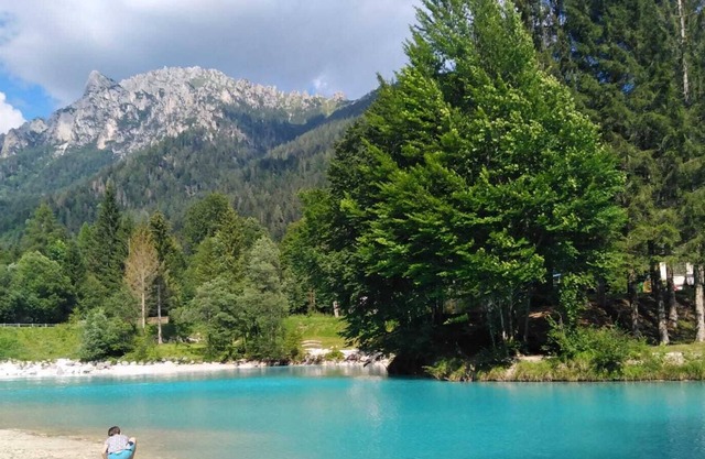 Apartment 'Casa Gosaldo' with Mountain View, Balcony & Wi-Fi