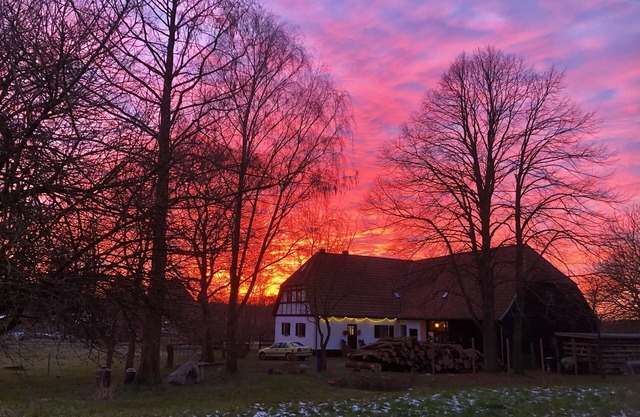 Apartment - For Güstrow: Apartment Bergfeld