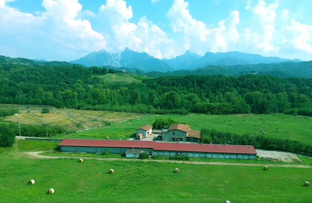 Apartment "Il Fienile" at Agriturismo La Preduscella