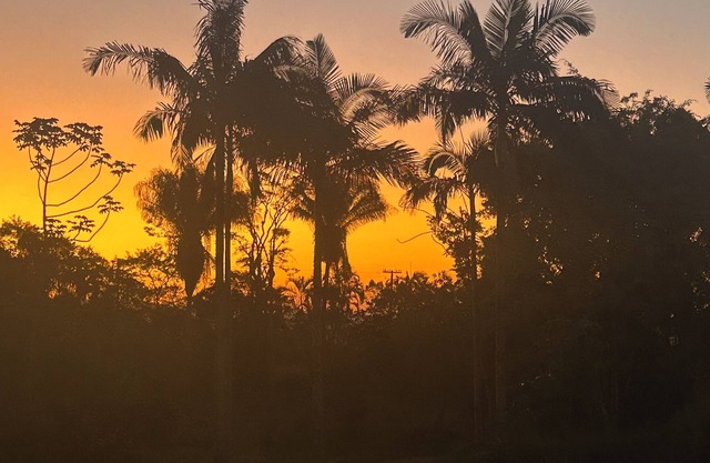 Apartment in a guesthouse surrounded by greenery