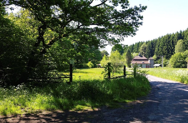 Apartment in the forest - Nauroth in the Westerwald - enjoy your holiday in an absolutely natural location