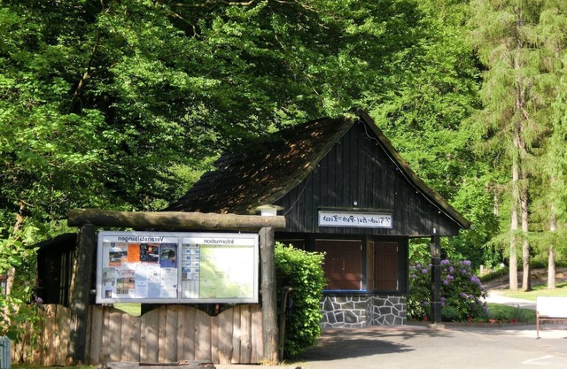 Apartment in the Upper Harz in Wildemann