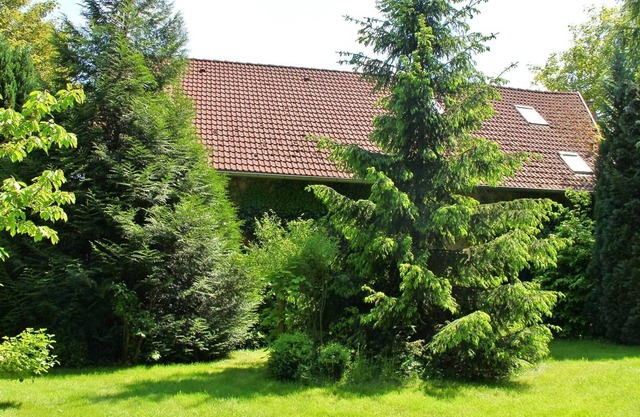 Apartment Linow SEE 6861 - SEE 6861 - Studio