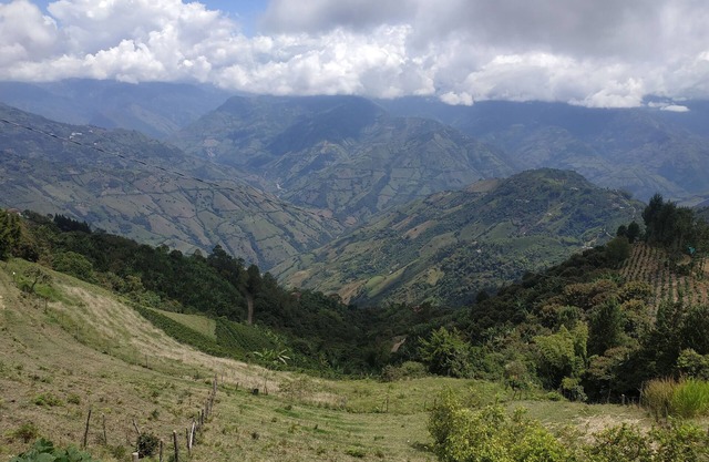 Apartment Living Girasoles La Ceja