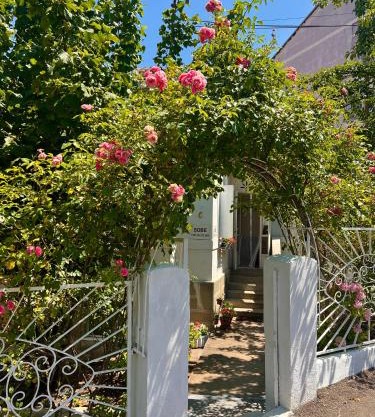 Apartment Milinković 2