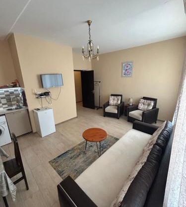 Apartment near Tskaltubo spa restort
