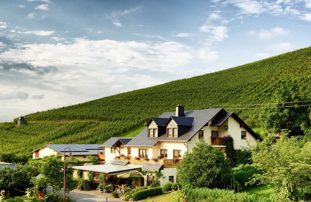 Apartment on the Vineyard - Located by the vineyards