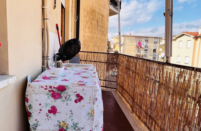 Apartment Rosy's House