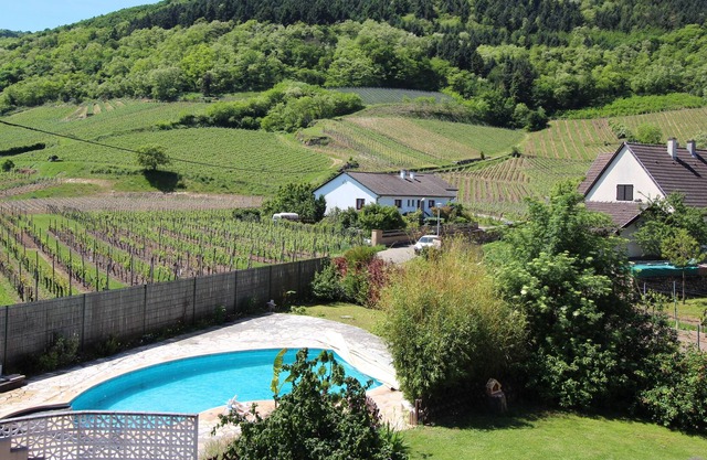 APARTMENT/spa WITH AMAZING VIEWS OF THE ALSACIAN VINEYARDS